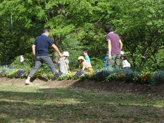 和歌山県植物公園緑花センターの口コミ一覧 じゃらんnet