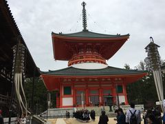 poporon̒d㉾ւ̓eʐ^3