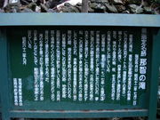 �ۂ�ۂ�����̓ߒq�̑�̓��e�ʐ^2