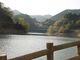 kafeさんのみどり湖（愛知県豊根村）への投稿写真2