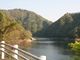 kafeさんのみどり湖（愛知県豊根村）への投稿写真3