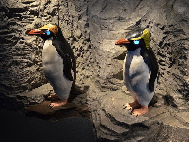 �y���M���R�[�i�[_���֎s�������̂��������فE�C����