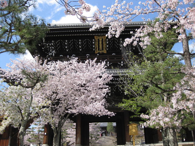 �R��_����������