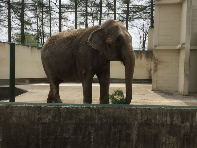 �]�E�̂ȂȂ����_���тЂ듮����