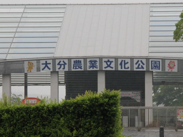 ���X�g�����ɂ͒n���̎R�����A�R���n�r�[��_�啪�_�ƕ�������