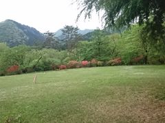 日光植物園の口コミ一覧 じゃらんnet