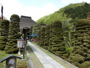 sakurasinȏ~_߂̓eʐ^3