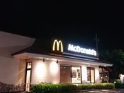 ���肳��̃}�N�h�i���h�A���X�̓��e�ʐ^1