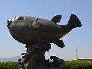 ����������񂳂�̋T�R�����{�i�R�������֎s�j�̓��e�ʐ^3