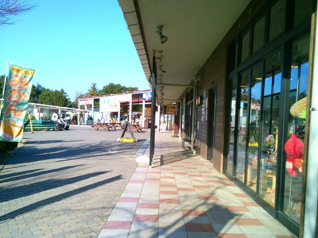 ɓ̉w ςہ[_ɓ̉wςہ[