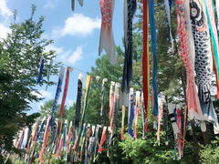 cAvXÂ݂̌@xE䍂n̎ʐ^1