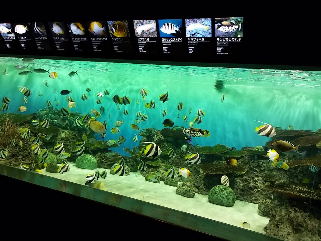 新潟市水族館 マリンピア日本海