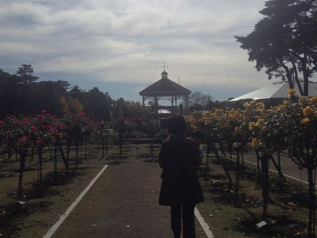 �o����_�~�������΂牀