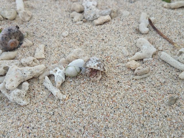 �������l�����ꂢ�B_�D��