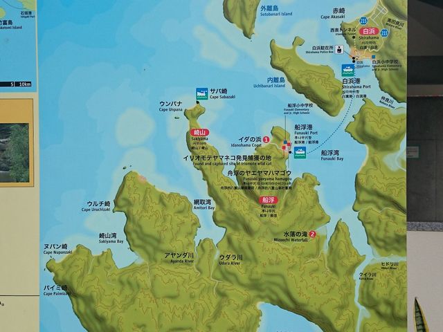 ���̌Ǔ��B_�D��