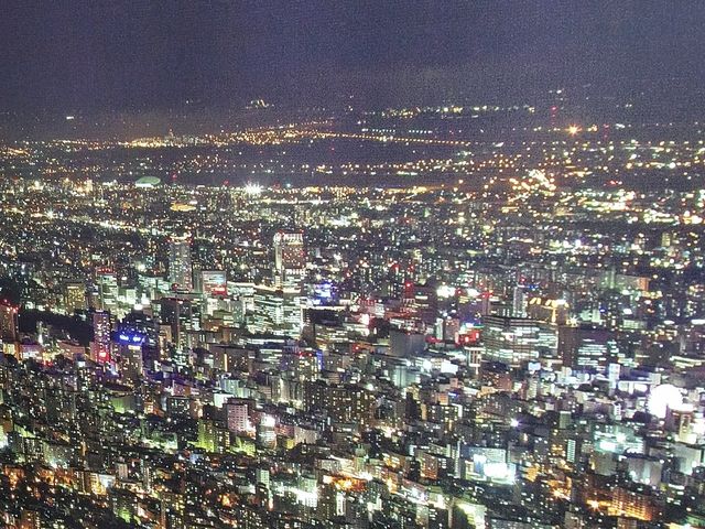 ��i_������R���[�v�E�F�C