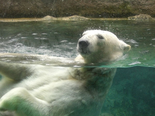 ���낭��_���R������