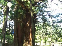 久しぶり塩原八幡宮 塩原八幡宮の口コミ じゃらんnet