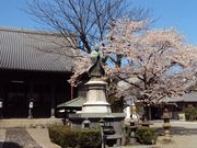 �ނ炳�񂳂�̖@�S���̓��e�ʐ^4