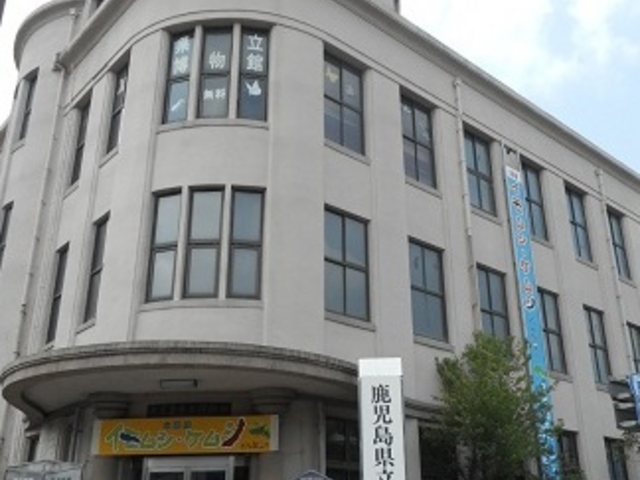 �����̗l�q_����������������