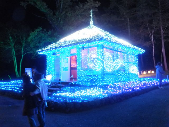 ߂ɂ锄X_yl̐nzAp][gzW]