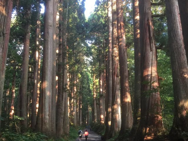 [܂܂̌ˉB_Ђ̓eʐ^1