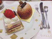 �݂�����̂c�`�k�k�n�x�n�t�@���}�a�J�{�X�X�̓��e�ʐ^1