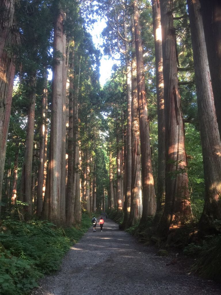 岩手の神社 神宮 寺院ランキングtop10 じゃらんnet