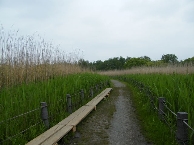 ����_�Ηю�����