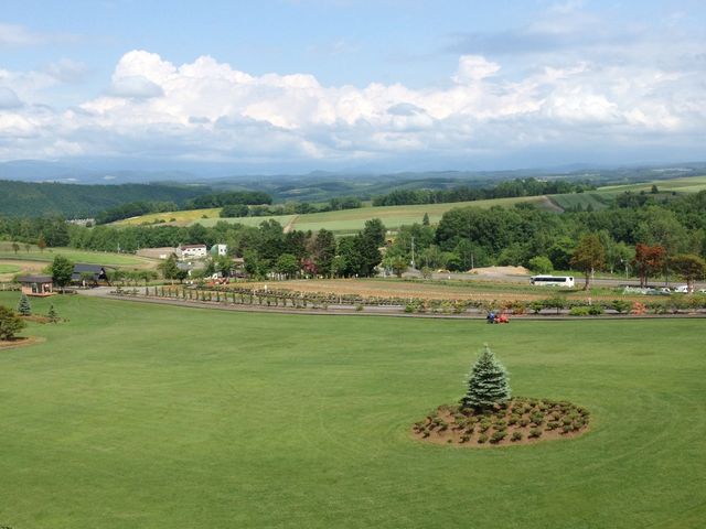 ���R�̕��i_�l�G�ʂ̋u