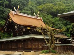 しちのすけさんの吉備津彦神社の投稿写真1