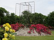 񂿂񂳂̐tsssΉA̓eʐ^1