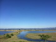 panchan̖쒹Ս`Βn̓eʐ^5