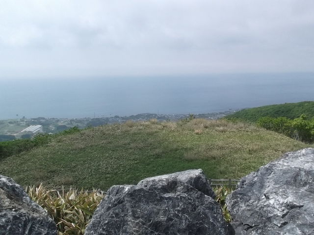 �W�]�䂩��̒���_�b�R����