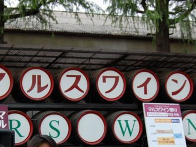 ���Ղ蒆_�{�V�� �}���X�R�����C�i���[