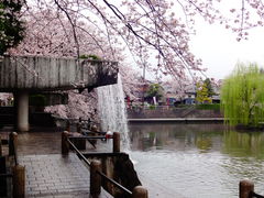 ���ǁ[����̎l�G�̍L��ւ̓��e�ʐ^1