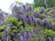 moomi̍˃m_̓̓eʐ^1