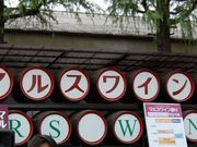 񂳂̖{V }XRCi[̓eʐ^1