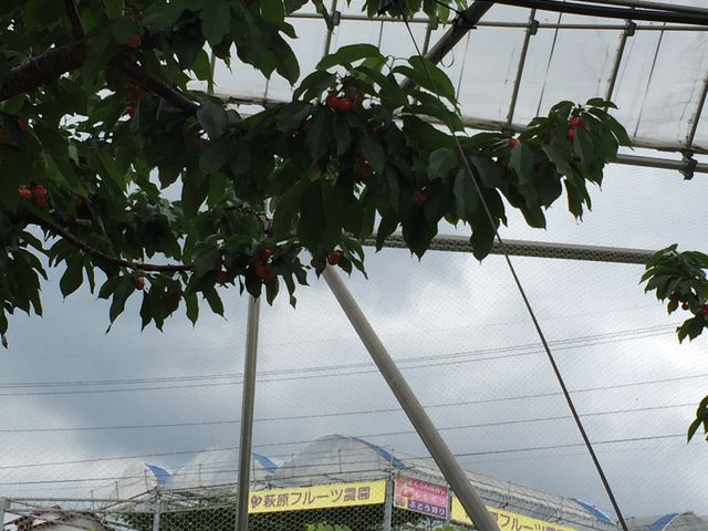 nEX甋_ LbYXy[X邨ȃJtF܂_t[c_