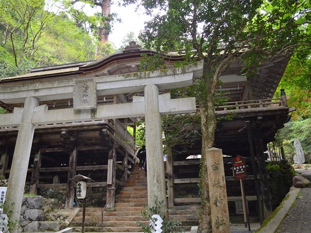 ���̖�͂����������ł��B_�R��_��