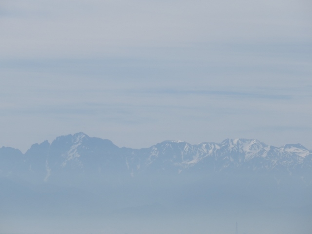 �i�F_�X���C��