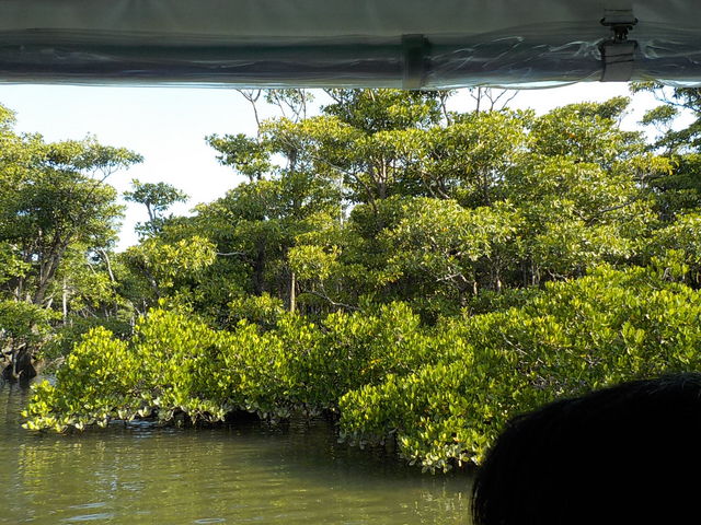 �}���O���[�u�сB_���Ԑ�V��