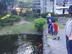 sunnysmile̓ւ̓eʐ^1