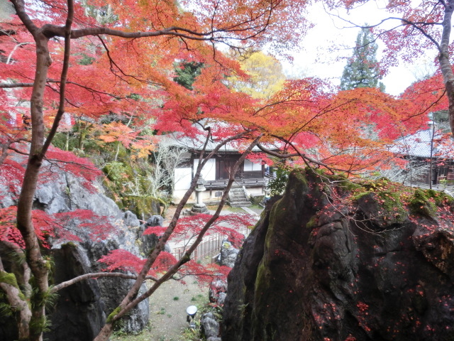 �ۂނ�����ƃ��~�W_�ΎR���̍g�t