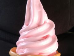 䂤䂤̓̉w Rւ̓eʐ^1