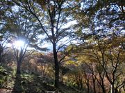 ܂܂ς񂾂̗RiČsoRj̓eʐ^3