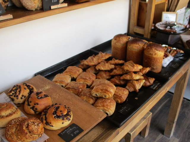 ���َq�n�̃p��_�����ΐ��p��