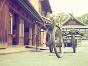 肱ӂ̍]˓Ẳ̓eʐ^1