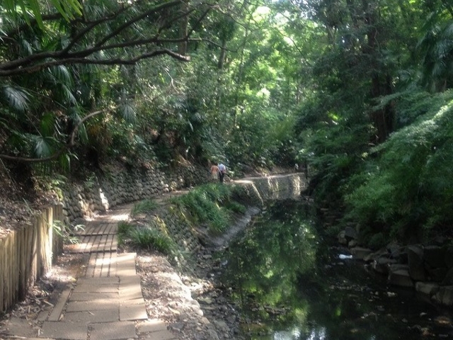 ΂ėǂʐ^B܂('')_X͌kJ