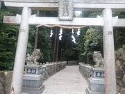 ���܂�����̊}�R�r�_�Ђ̓��e�ʐ^1